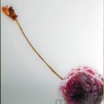 szkło do kuchni z nadrukiem wisienki