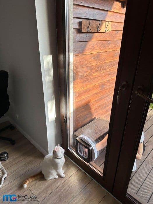 drzwiczki dla kota w drzwiach tarasowych